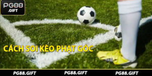 Thể Thao PG88 - Khám Phá Thế Giới Thể Thao Đỉnh Cao - Tovip