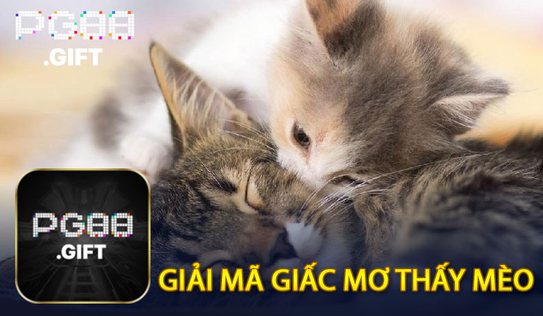 Mơ Thấy Mèo - Ý Nghĩa Và Con Số May Mắn Tại PG88 - Tovip