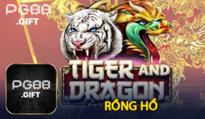 Sảnh Cược Casino - Không Gian Cá Cược Đỉnh Cao Tại PG88 - Tovip